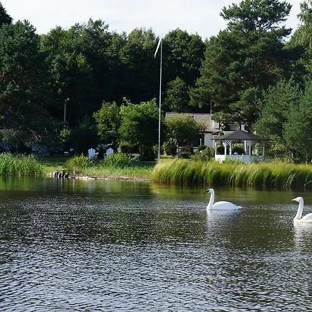 Merekalda - Adults Only *