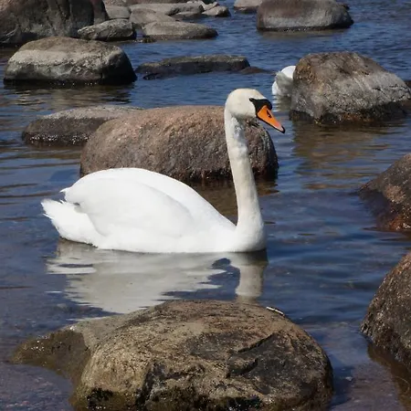 Merekalda - Adults Only * Käsmu