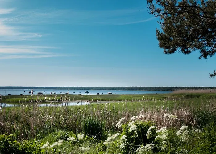 Merekalda - Adults Only Käsmu