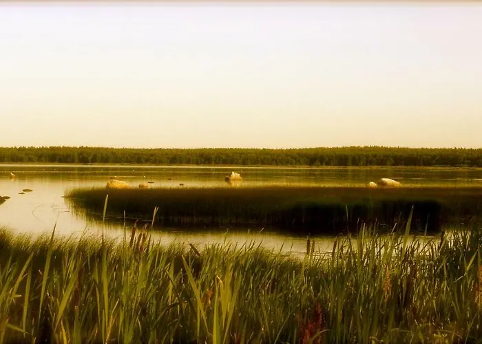 شقة Merekalda - Adults Only Käsmu