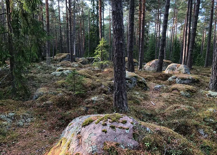 Apartmán Merekalda - Adults Only