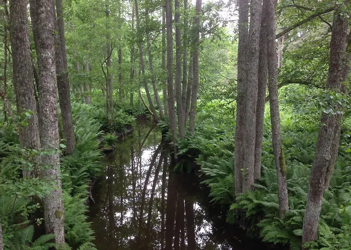 Merekalda - Adults Only * Käsmu